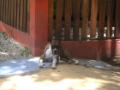 20060723-playas/pict0046.jpg