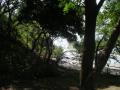 20060723-playas/pict0063.jpg