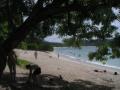 20060723-playas/pict0065.jpg