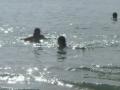 20060723-playas/pict0070.jpg