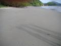 20060723-playas/pict0101.jpg