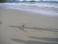 20060723-playas/pict0103.jpg