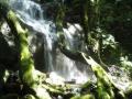 20061203/pc030103.jpg