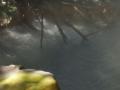20061203/pc030108.jpg