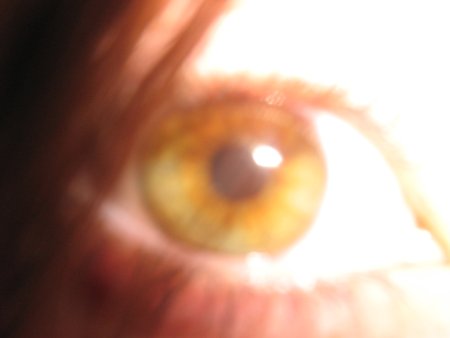 img009.jpeg.medium.jpeg