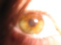 img009.jpeg.small.jpeg