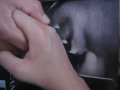 img027.jpeg.small.jpeg