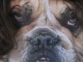 img035.jpeg.small.jpeg