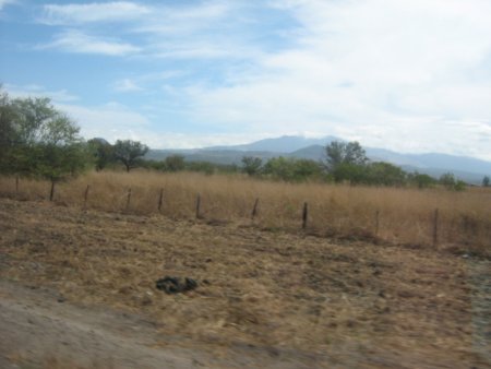 img042.jpeg.medium.jpeg