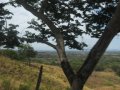 img047.jpeg.small.jpeg