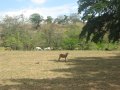 img054.jpeg.small.jpeg
