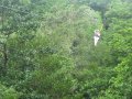 img064.jpeg.small.jpeg