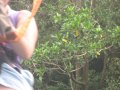 img068.jpeg.small.jpeg
