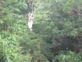img069.jpeg.small.jpeg