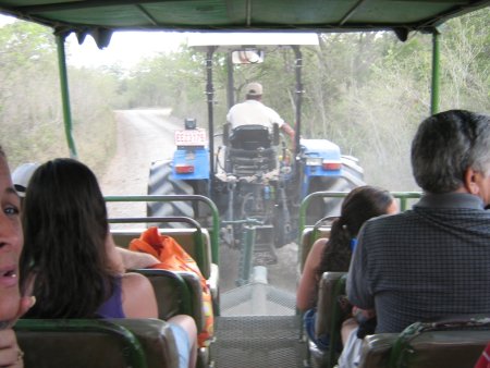 img111.jpeg.medium.jpeg