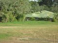 img115.jpeg.small.jpeg