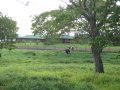 img118.jpeg.small.jpeg