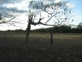 img122.jpeg.small.jpeg