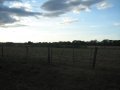 img123.jpeg.small.jpeg