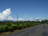 img015.jpeg.small.jpeg