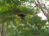img010.jpeg.small.jpeg