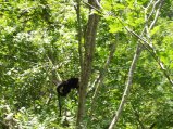 img018.jpeg.small.jpeg