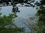 img020.jpeg.small.jpeg