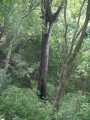 img022.jpeg.small.jpeg