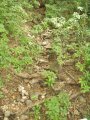 img023.jpeg.small.jpeg