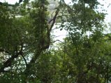 img026.jpeg.small.jpeg