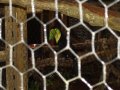 img011.jpeg.small.jpeg