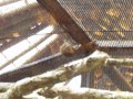 img012.jpeg.small.jpeg