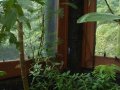 img017.jpeg.small.jpeg