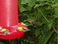 img020.jpeg.small.jpeg