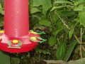 img021.jpeg.small.jpeg