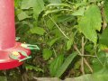 img022.jpeg.small.jpeg