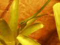 img025.jpeg.small.jpeg