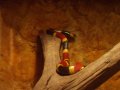 img026.jpeg.small.jpeg