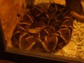 img028.jpeg.small.jpeg