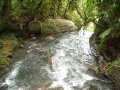 img035.jpeg.small.jpeg