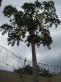 img011.jpeg.small.jpeg