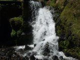 img026.jpeg.small.jpeg