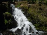 img027.jpeg.small.jpeg
