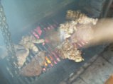 img038.jpeg.small.jpeg
