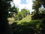 img040.jpeg.small.jpeg