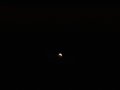 img004.jpeg.small.jpeg
