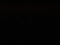 img015.jpeg.small.jpeg