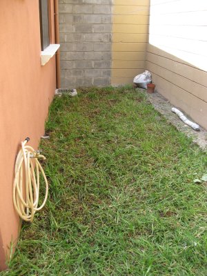 016-img_6269.jpg.medium.jpeg