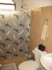 019-img_6272.jpg.small.jpeg