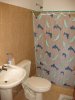 020-img_6273.jpg.small.jpeg